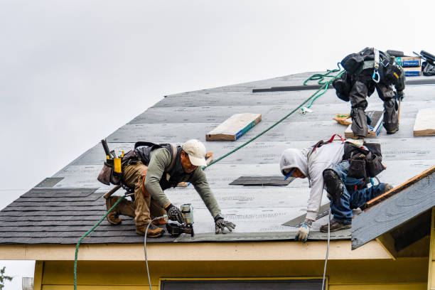 Professional Gutter Installation technician working in Mascot, TN
